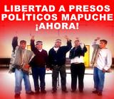 Listado actualizado de prisioneros y perseguidos políticos mapuche - Marzo 2007.